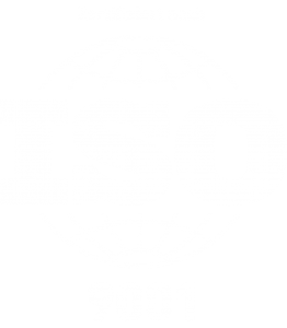 iso9001-20pz